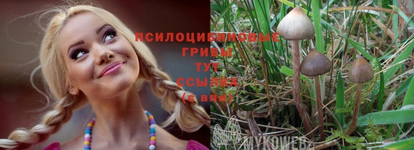 мдма Горняк