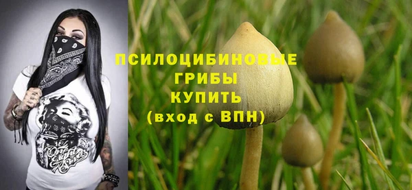 мдма Горняк