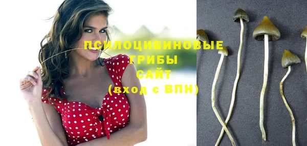 прущие крисы Горно-Алтайск