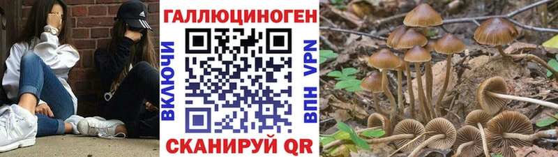 Псилоцибиновые грибы мухоморы  купить   Приволжский 